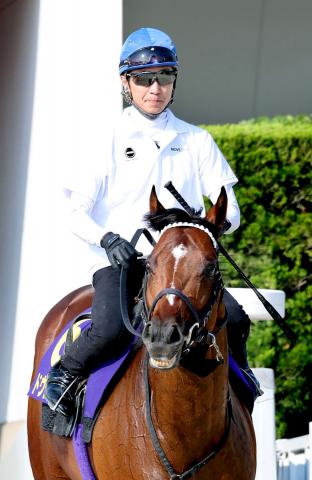 宝塚記念】昨年の有馬記念馬がテイエムオペラオーなど4頭しかいない主要4場G1制覇へ 4年連続G1制覇とダブル達成なら史上初 | 競馬ニュース -  netkeiba