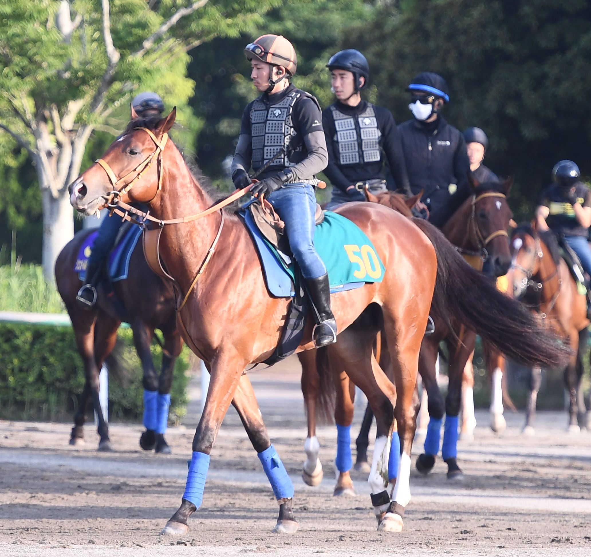 G1馬 ミッキーロケット 新馬戦 実使用 ゼッケン 種牡馬 ウマ娘 JRA ディープインパクト アーモンドアイ コントレイル - 競馬