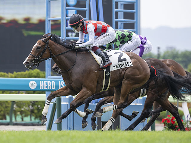 メイクデビュー函館5Rレース後コメント】カルプスペルシュ鮫島克駿騎手ら | 競馬ニュース - netkeiba