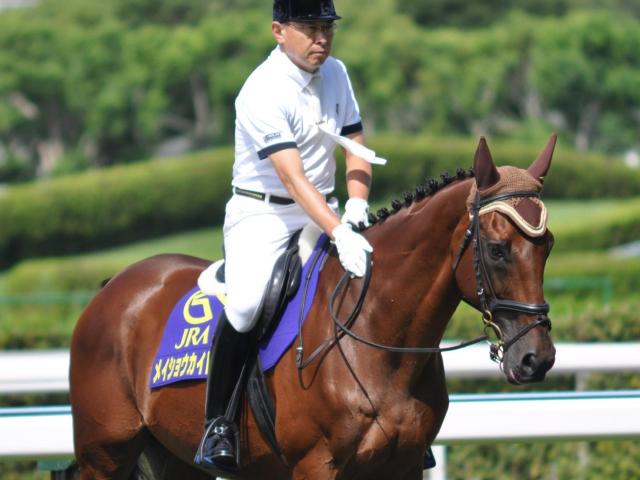 史上唯一の同年3冠馬 小倉を愛し、愛された名馬・メイショウカイドウ | 競馬ニュース - netkeiba