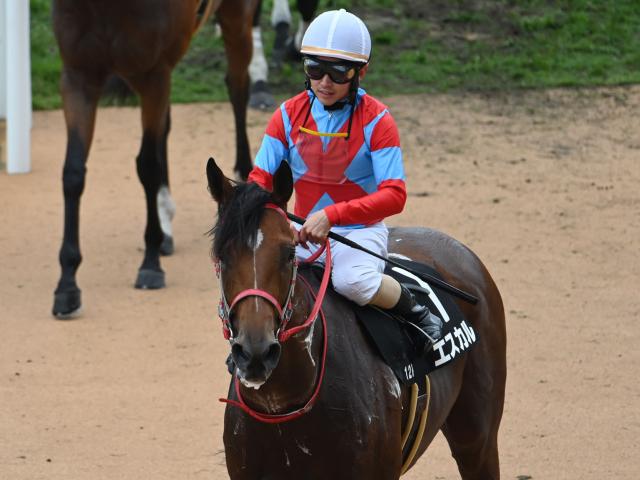 リボン賞レース後コメント】エスカル松若風馬騎手ら | 競馬ニュース - netkeiba