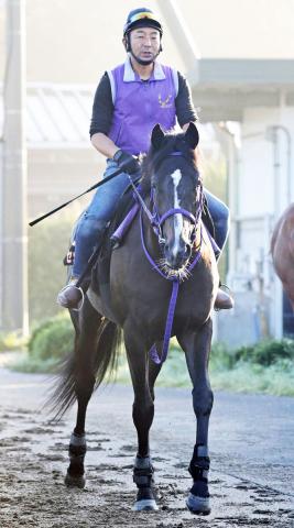 ラジオNIKKEI賞】メンバー唯一の重賞ウィナーは58キロのハンデも得意距離で巻き返す | 競馬ニュース - netkeiba