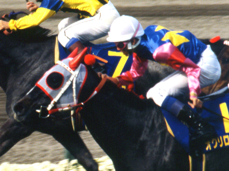 1994年の桜花賞馬オグリローマンが病気のため死亡 | 競馬ニュース