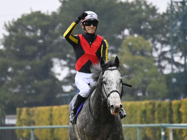サンデーレーシング 勝負服 競馬 訳あり 近日中に削除 Tシャツ 勝負服