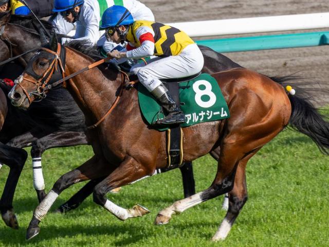 公式 アルナシーム 垂水S 現地的中単勝馬券☆他３頭