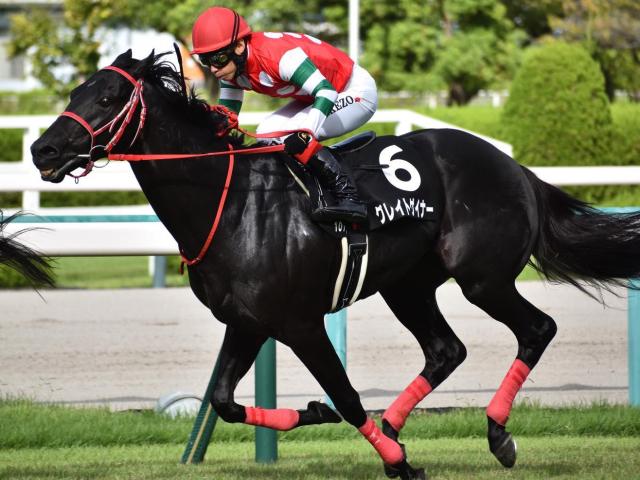 アイビスSD】笹川翼騎手が重賞でJRA初勝利なるか 快足グレイトゲイナーで一発狙う | 競馬ニュース - netkeiba