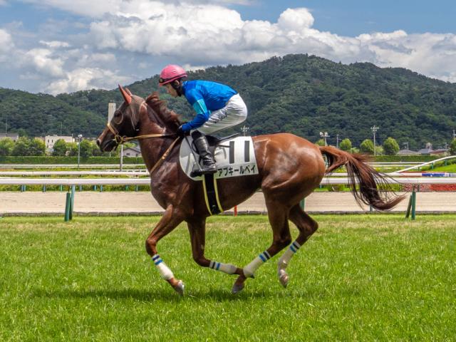 POG】アブキールベイは小倉2歳Sを視野に 輸送に動じず「折り合っていい内容」/馬三郎のつぶやき | 競馬ニュース - netkeiba