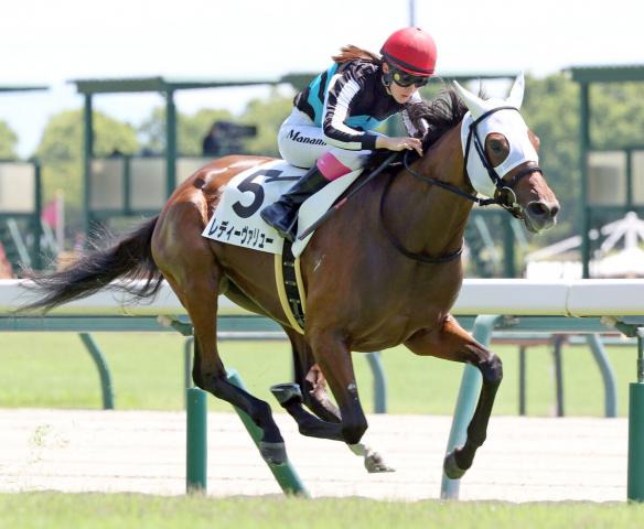 JRA実使用ゼッケン］リバティハイツ（2歳新馬戦）／C.ルメール騎乗／3着／阪神競馬場／フィリーズレビュー（GⅡ）優勝馬 - 競馬