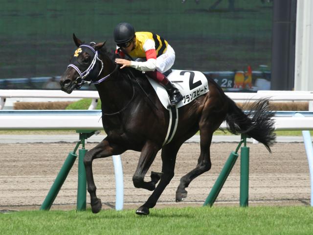 先週のJRA抹消馬】芝1800m戦で3勝のグランスピード、6億円馬ディナシーの仔ゲンパチエトワールなど | 競馬ニュース - netkeiba