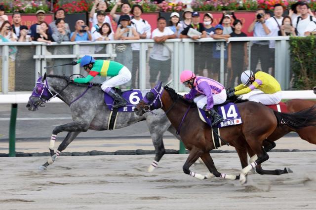 札幌10R・WASJ第3戦】武豊騎手騎乗のティアップリオンがV レジェンドが前日9位から40点で首位タイに | 競馬ニュース - netkeiba