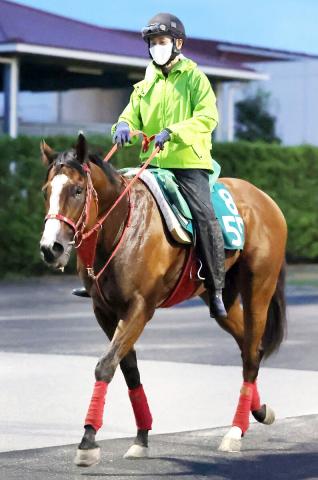 競走馬 坂路 時計 2歳