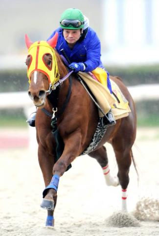 2009、2012年NAR年度代表馬のラブミーチャン死す　小林祥晃オーナーがXで明かす | 競馬ニュース - netkeiba