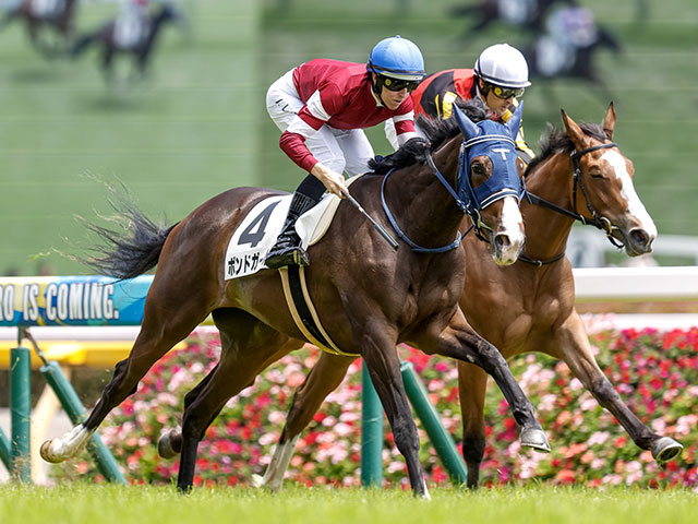 【紫苑S予想】3歳牝馬にとって斤量増は想像以上の負担となる!? 重賞実績十分も信頼しづらい人気馬とは | 競馬ニュース - netkeiba