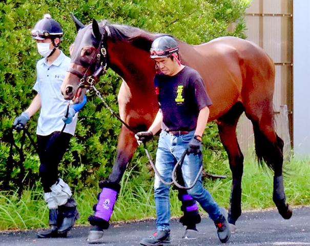 注目馬動向】皐月賞馬ジャスティンミラノが北海道から帰厩 友道調教師「いい夏を過ごせたと思う」 | 競馬ニュース - netkeiba