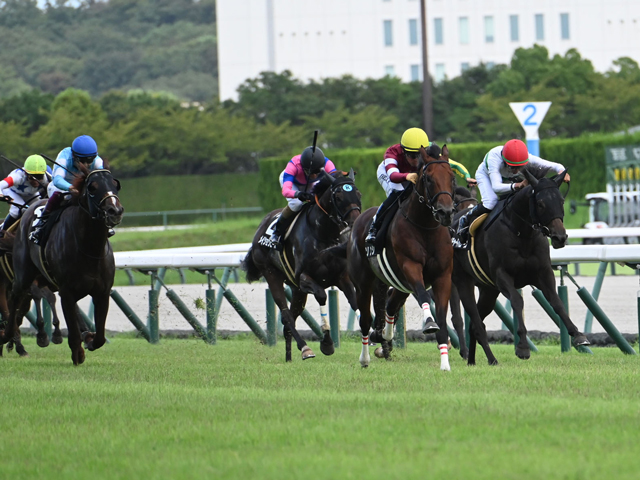 JRA・WIN5】1番人気4勝、2番人気1勝で的中55919票・配当1万140円 | 競馬ニュース - netkeiba