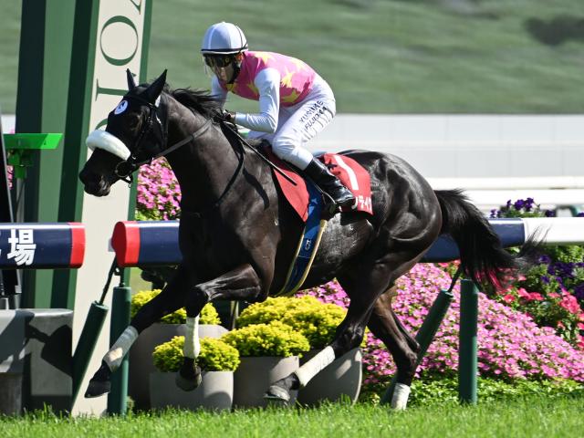 菊花賞TR神戸新聞杯と古馬GIIのオールカマー/今週の競馬界の見どころ | 競馬ニュース - netkeiba