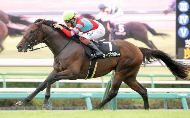 ロードカナロア産駒がJRA通算1100勝を達成 中山9Rで産駒のキープカルムが勝利 | 競馬ニュース - netkeiba