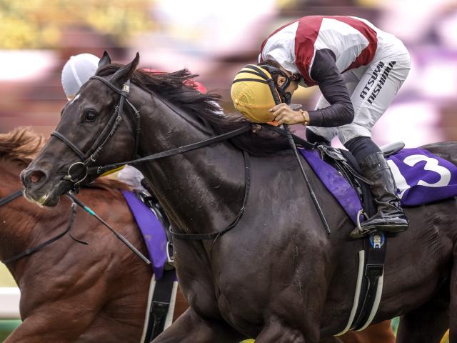 スプリンターズSレース後コメント】ルガル西村淳也騎手ら | 競馬