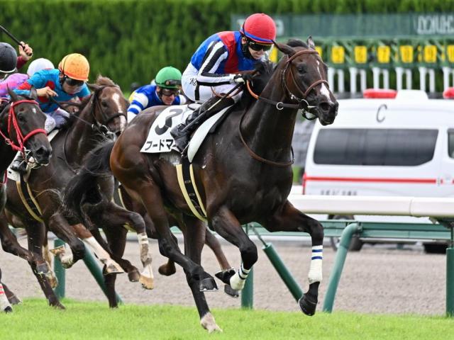 サウジアラビアRC】キングマン産駒の大物候補だ！ フードマンが重賞初制覇なるか | 競馬ニュース - netkeiba