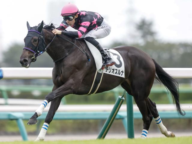 POG】新馬戦完勝のテリオスルナ、次走のアイビーSも要注意/馬三郎のつぶやき | 競馬ニュース - netkeiba