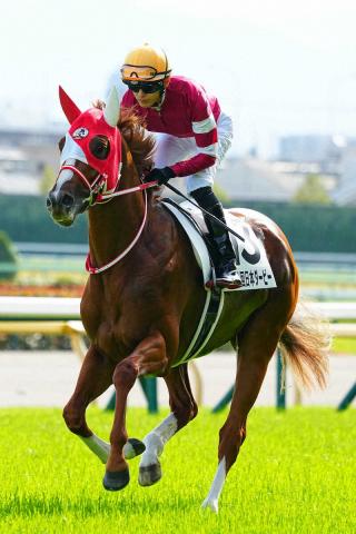 凱旋門賞】シンエンペラーは12着…坂井「結果を出せなくて残念」日本の