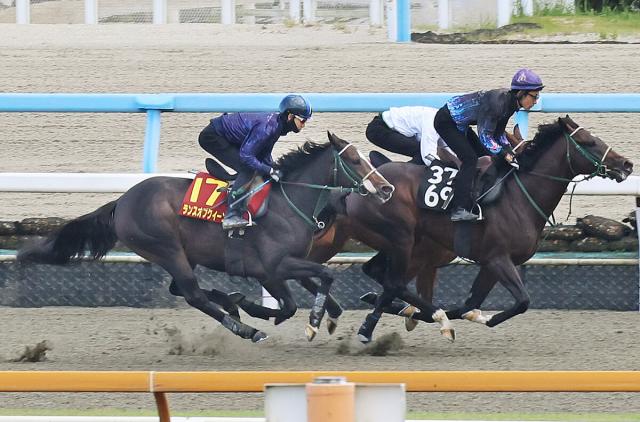 秋華賞】20年の3冠牝馬デアリングタクトを思い出す 新コンビ松山弘平騎手が2週連続で追い切り騎乗 | 競馬ニュース - netkeiba