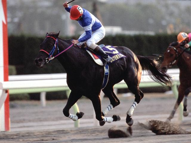 GI級競走2勝のトーホウエンペラーが死亡 28歳 | 競馬ニュース - netkeiba