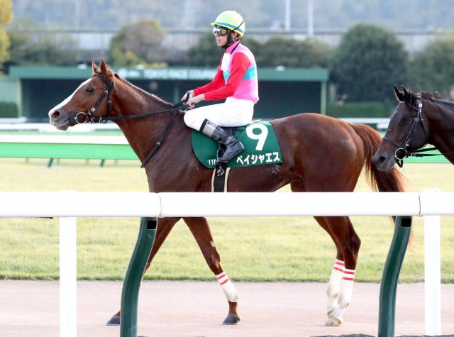 競馬 着 人気 順 カメラ