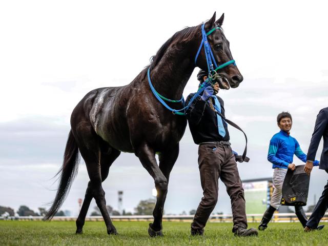 JRA・WIN5】波乱続きで的中1票！ 配当は歴代5位の4億6496万3450円！ | 競馬ニュース - netkeiba