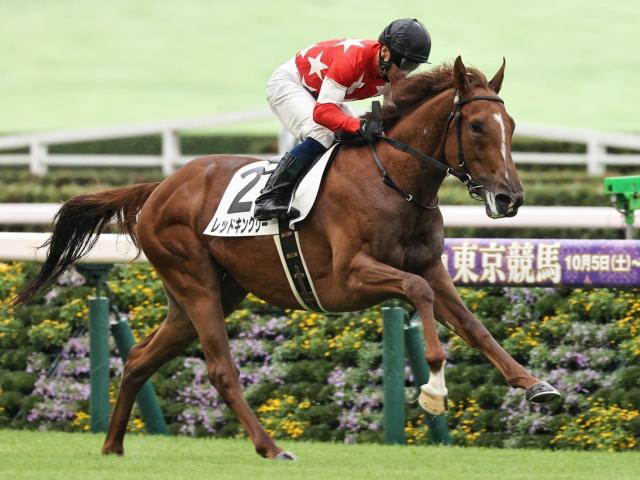 東スポ杯2歳Ｓ】ルメール騎手がイクイノックス以来の2勝目なるか 新馬圧勝のレッドキングリーで参戦だ | 競馬ニュース - netkeiba