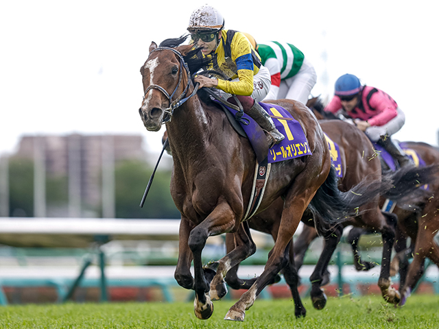 ジャパンC】新紙幣発行年に勝率100％のデータが!? 今年当てはまった3頭とは | 競馬ニュース - netkeiba