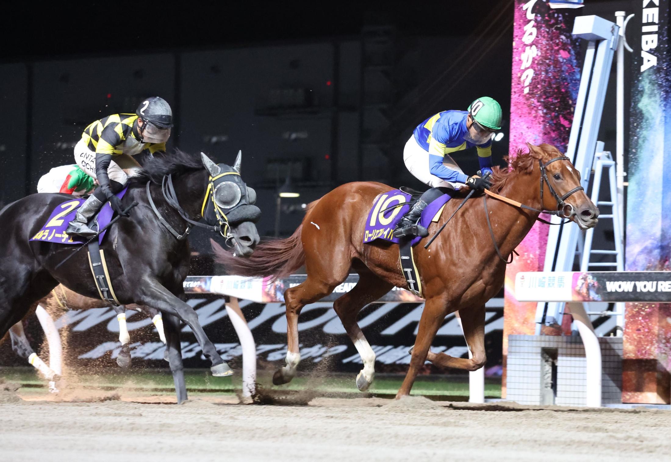 地方競馬】２歳女王が復活！ローリエフレイバーがデイリー盃ロジータ記念で約１年ぶり勝利 | 競馬ニュース - netkeiba