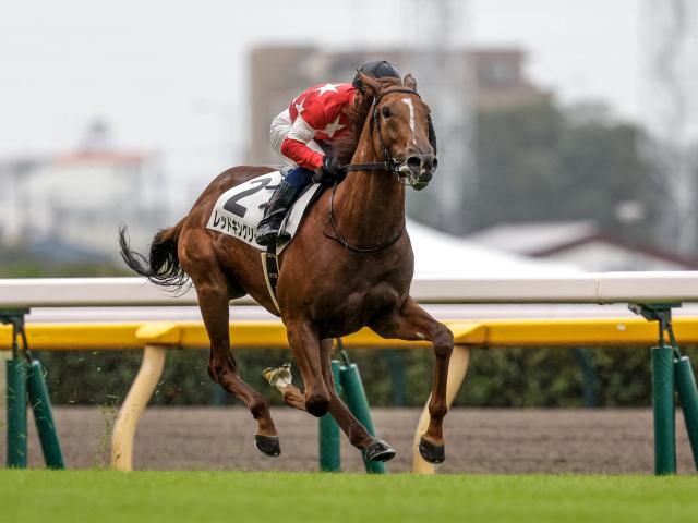 東スポ杯2歳S予想】過去の勝ち馬にはコントレイルやイクイノックス 出世レースとして名高い一戦 | 競馬ニュース - netkeiba