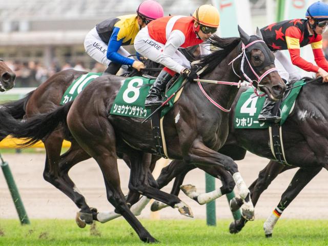 阪神JFは抽選突破組も侮るなかれ 22年にもシンリョクカが12番人気2着と激走 | 競馬ニュース - netkeiba