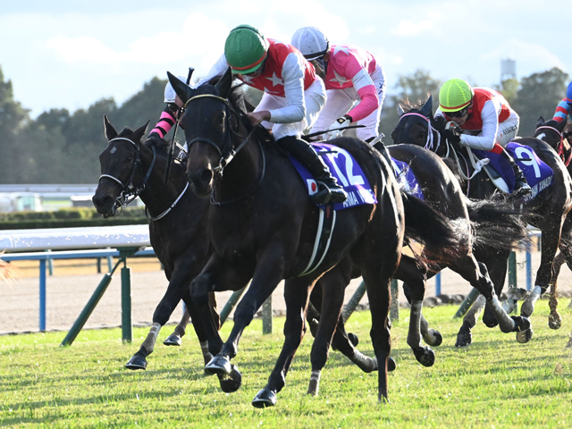 JRA実使用ゼッケン］リバティハイツ（2歳新馬戦）／C.ルメール騎乗／3着／阪神競馬場／フィリーズレビュー（GⅡ）優勝馬 2024