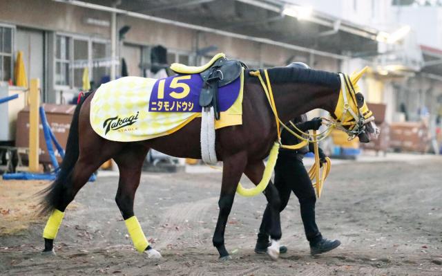 朝日杯FS・角田の特注馬】力強いフォームは3冠馬をほうふつ!? ニタモノドウシの素質は計り知れない | 競馬ニュース - netkeiba