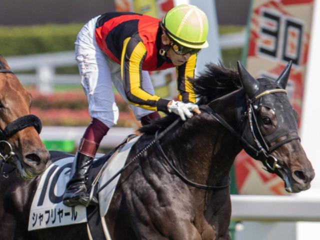 ⑨◆　競馬　JRA　◆　シャフリヤール　◆　日本ダービー　◆　優勝記念シャツ　◆ 有馬記念】シャフリヤールが史上初の偉業に挑戦 21年日本