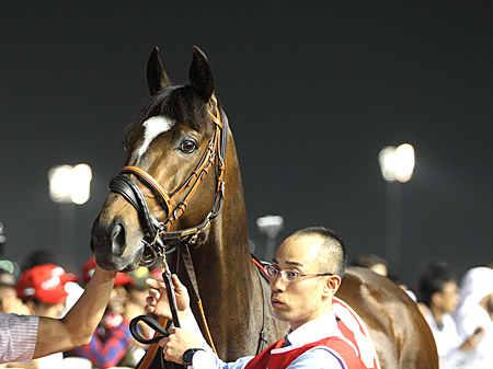 エピファネイアが左前繋靱帯炎のため宝塚記念の出走を回避 | 競馬