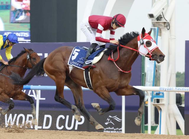 【競馬】フォーエバーヤングJRA賞デジタルフォト／2024 JRA AWARDS 競馬】フォーエバーヤングJRA賞デジタルフォト／2024 JRA AWARDS