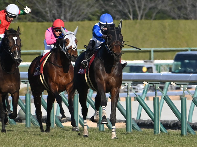 【jra・win5】3、5レース目の大波乱で的中ゼロ！ 4億4902万3820円のキャリーオーバー！ 競馬ニュース Netkeiba