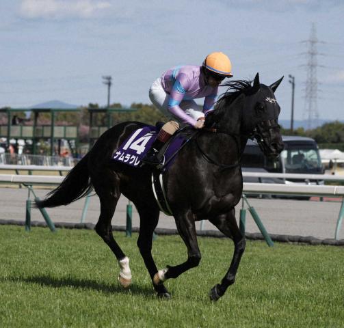 JRAG1高松宮杯優勝ナランフレグ２０２２年ジャンパー hq720.jpg?sqp=-