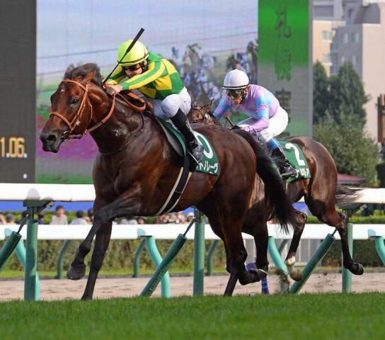 チェアマンズSP】日本勢はタイトル届かず サトノレーヴ2着が最高