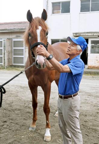 POG】名牝アーモンドアイの2番子プロメサアルムンドが美浦トレセンに入