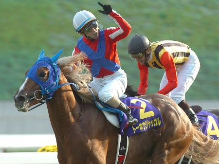 トーホウジャッカルの佃厩務員「馬にやる気が出てきた」/札幌記念 | 競馬ニュース - netkeiba