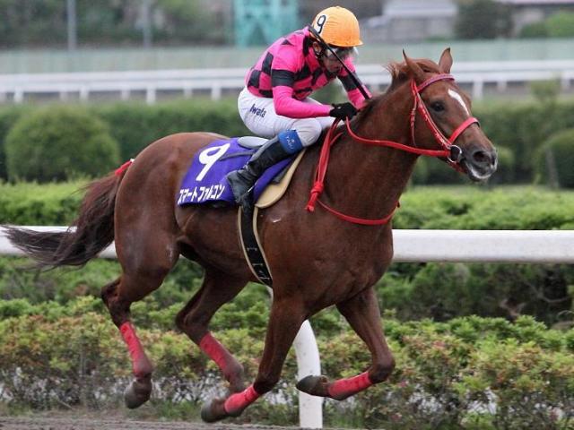 スマートファルコンのさきたま杯V2から15年 4馬身差の圧勝で達成