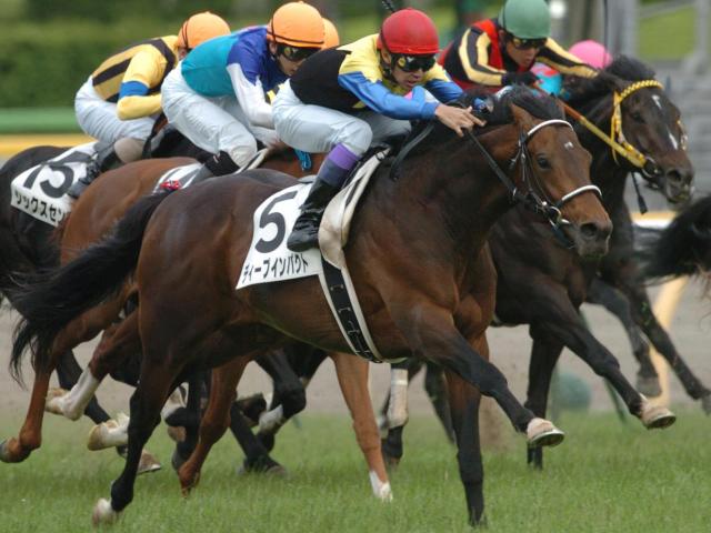 【完売品】ソダシ 金子真人 競馬 JRA 金子オーナー ザ ロイヤルファミリー 完売品】ソダシ 金子真人 競馬 JRA 金子オーナー ザ ロイヤル