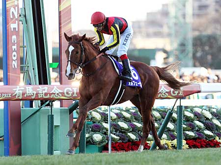 オルフェーヴル、史上31頭目の顕彰馬に選ばれる | 競馬ニュース - netkeiba