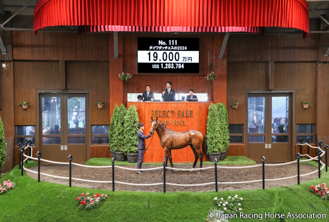 セレクトセール2025】“べラジオ”林田祥来氏がダイワダッチェスの