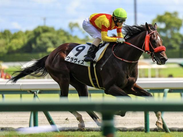 兄姉2頭が海外G1馬 グラヴィスが待望の3勝目なるか | 競馬