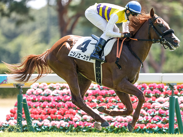 2歳未勝利新潟3Rレース後コメント】ニシノエースサマ津村明秀騎手ら